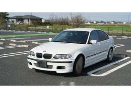 キレイなアルピンホワイト