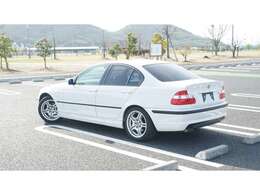 キレイなアルピンホワイト