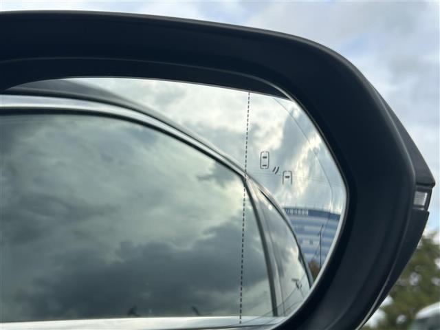 【ドアミラー】大きくて見やすいので、後方を見るときも安心です！