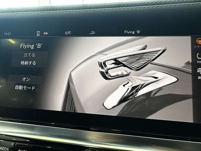 高額オプション　　イルミネーテッドフライングBラジエターエンブレム。