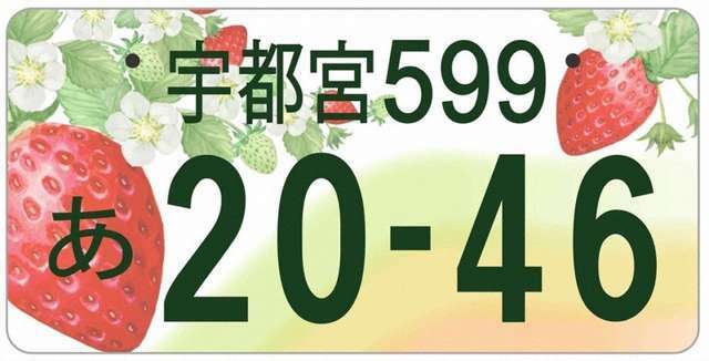 令和5年10月23日に栃木県にもご当地ナンバー（図柄入り）が交付となりました！（宇都宮　那須　とちぎ）