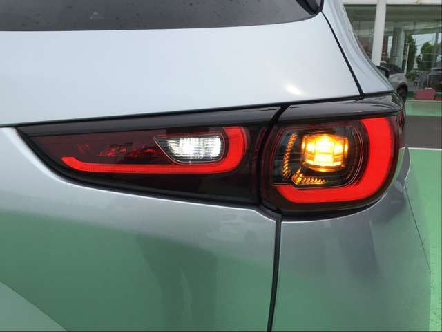 テールランプもLEDになっています。