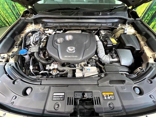 親切・丁寧な専門メカニックスタッフが応対！・車検・点検整備・事故等の修理などアフターサービスも安心。お車のカスタマイズもネクステージのサービススタッフまでご相談ください！