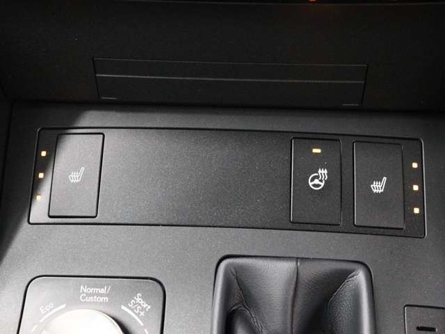 快適温熱シート(運転席・助手席)が装備され快適なドライブをサポートします。