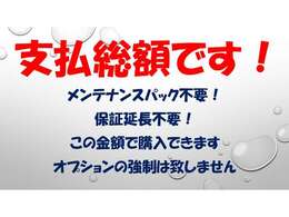 総額表示通り追加のご請求、強制的な追加オプションは一切御座いません。