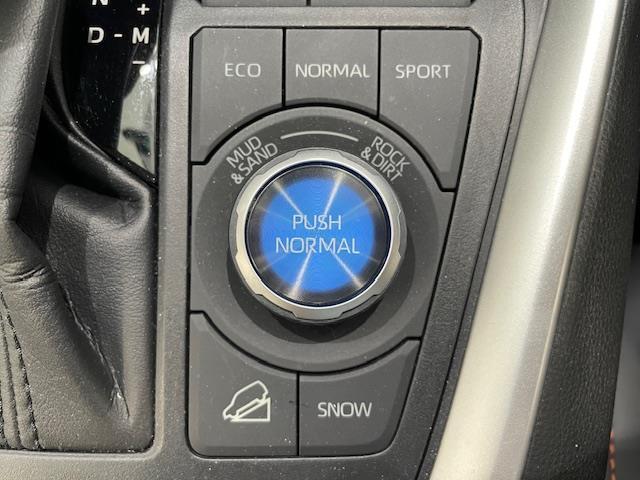 気になる車はすぐにお問い合わせください！画面右側の0066から始まる無料ダイヤルからお問い合わせ下さい！専門スタッフがお車のご質問にお答えいたします！