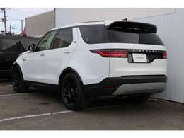 流れるような輪郭が美しさを表現しています。