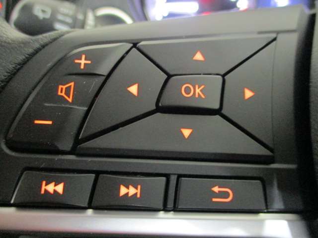 左側、車両情報切替、オーディオ操作スイッチ！