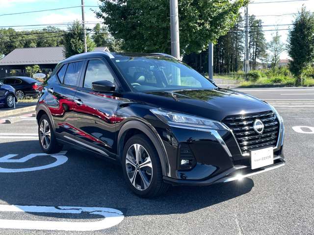 ルーフレール付き　ルーフキャリア　ルーフボックス等を取り付けるのに便利です。また、洗車の時に掴みながらルーフを拭く事が出来るので便利です！