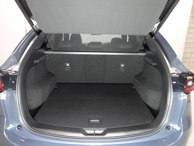 パワーリアゲート装備！スイッチひとつでリアゲートの開閉ができてとても便利なアイテムです。