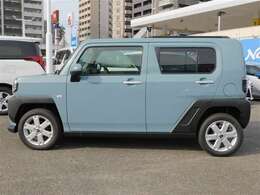 鮮やかなボディカラー