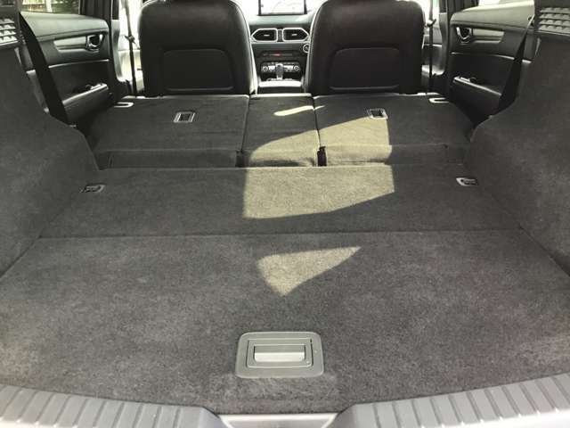 リアシートを前方へ倒せば、さらに広大なスペースで使い勝手良いです。