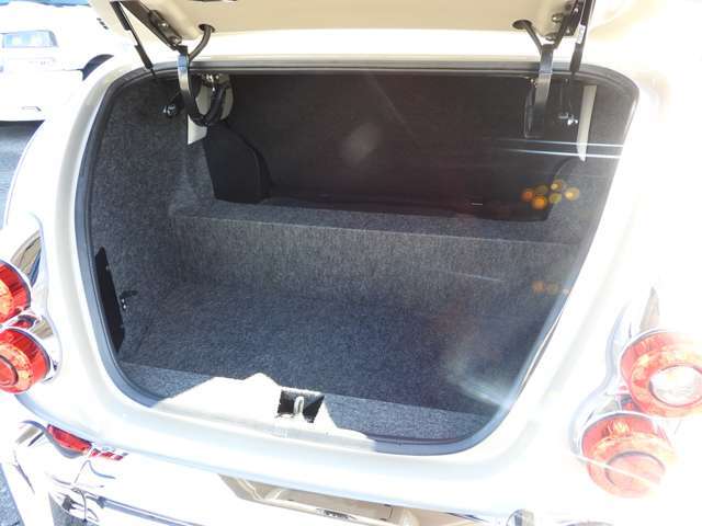 光触媒による画期的な除菌・消臭剤【東芝・ルネキャット】もご用意しております！新しくお乗り頂くお車のリフレッシュとしてもお勧めです！