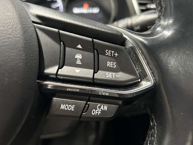 【レーダークルーズコントロール】ミリ波レーダーが車間距離を測って設定車速内で車速に比例した車間距離を保ちながら追従走行する装置で近づきすぎたときは自動でブレーキし、離れすぎたときには自動増速もする。