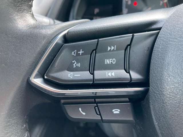 オーディオの音量などはハンドルのスイッチでわき見することなく安全に操作することができます。