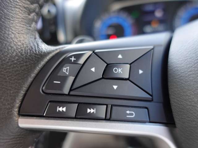 ステアリングスイッチ付