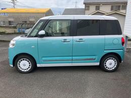 左横からの写真です