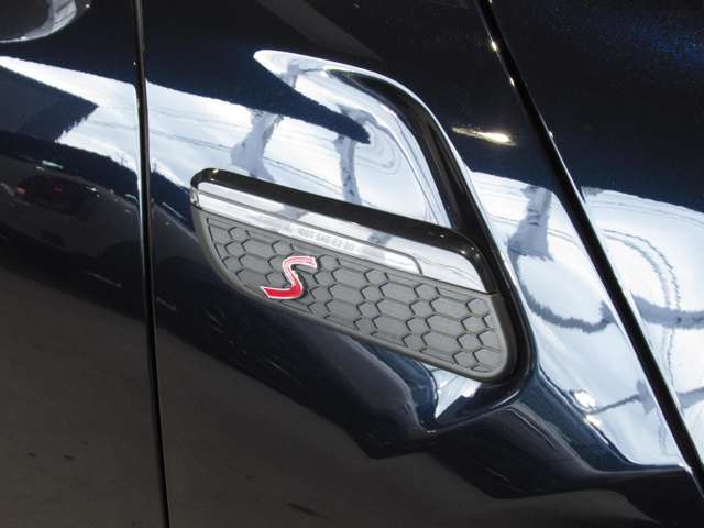 サイドスカットルです