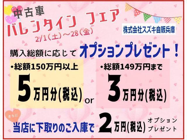 2月は、購入総額に応じてオプションプレゼントをご用意しました！