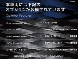 ◆オプション一覧