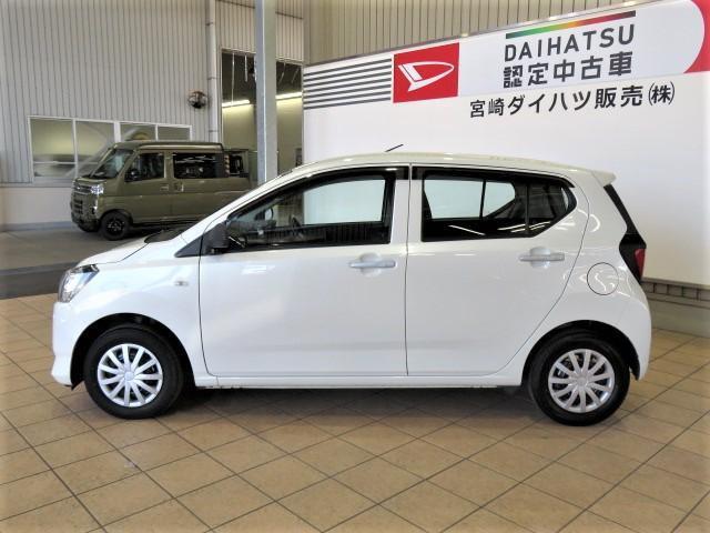 丸っこい形がかわいい。