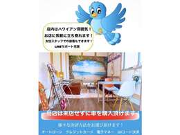 店内は癒される雰囲気で状態が良い車を低価格で販売をしております！ローンも取り扱っています。