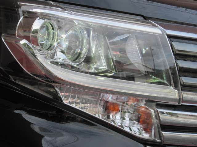 創業73年の実績！R260沿いのピンクの看板とショールームが目印！！全天候型屋内展示場！　当店でご購入のお車の、車検＆法定点検時のオイル交換は無料！！フリーダイヤル：0078-6002-341933