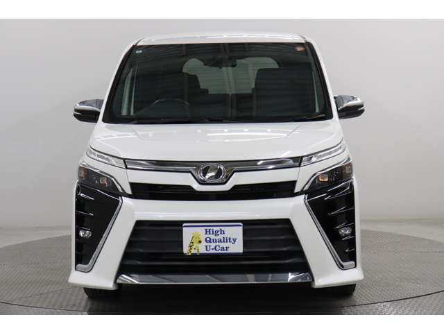 ボデーコート、室内除菌クリーニング済です。