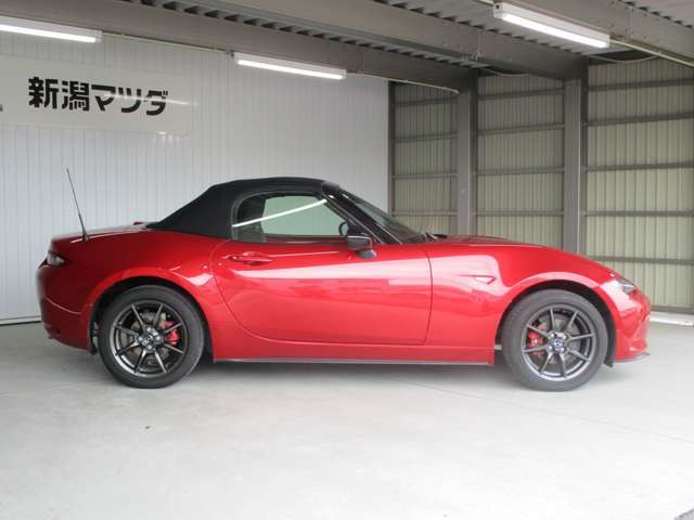 凛とした雰囲気、堂々としたデザインは所有する方だけでなく、見る方も魅了します