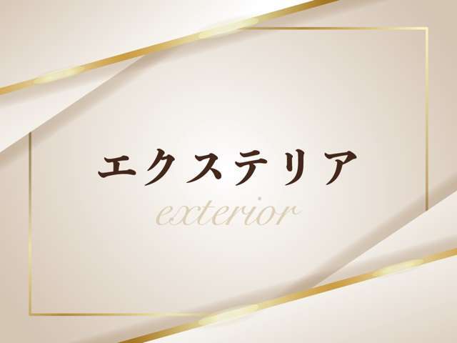 クルーズコントロール/横滑り防止装置/ETC/ヘッドライトウォッシャー/純正ナビ/バックカメラ/地デジ/LEDオート/純正AW