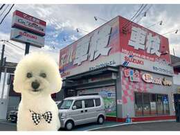 たくさんあるお店からカーファクトリーエムのおクルマを見てくださりありがとうございます。いつでもお気軽にお問い合わせくださいね♪