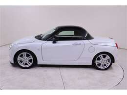 一目見ただけで、魅力的な存在感を放っていることが判って頂けると思います。