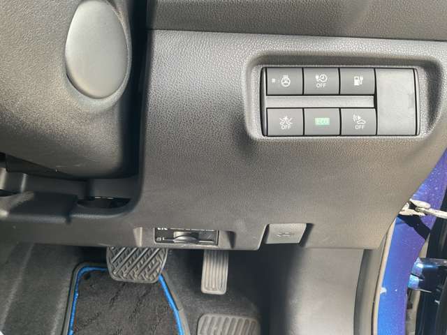 単一斜車自動走行プロパイロッドです。これで遠出もラクラクドライブ♪優秀な副操縦士です。