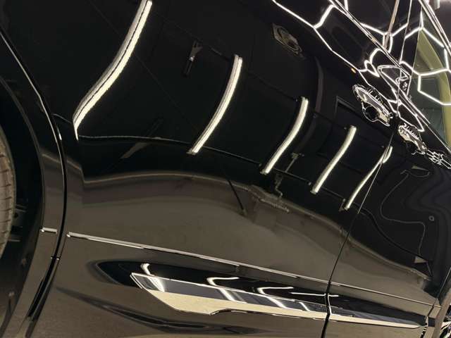 サイドスカートで低重心を強調。ブラックボディに伸びやかな水平基調が冴える