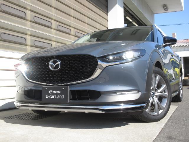 立体的なシグネチャーウィングと鋭いヘッドランプにより、奥行きのある堀の深いフロントフェイスとなっています。