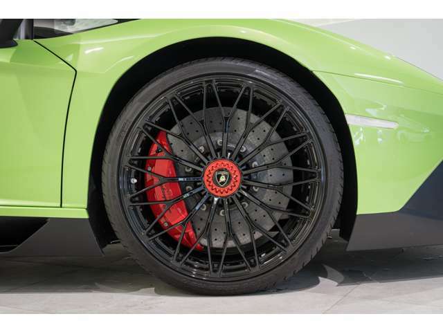 Dianthus forged 20/21 high gloss black