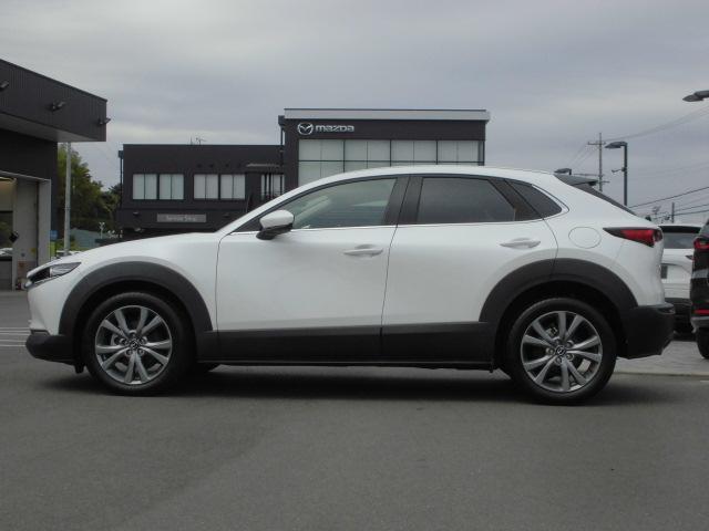 プレスラインを極力排した美しい曲面のサイドビュー。光の反射や景色の映り込みで動きを表現しています。