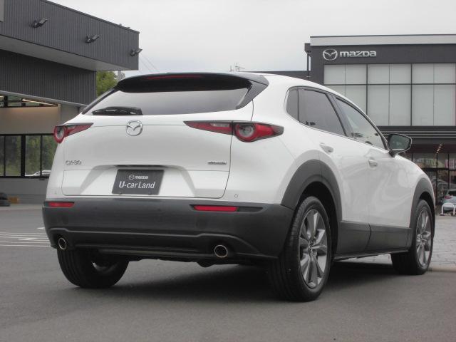 絞り込まれたキャビンから大きく張り出したフェンダー。大きくくびれたリアゲートなど、妖艶で迫力あるリアビューとなっています。