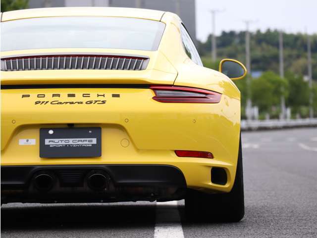 標準のレールランプよりもダークカラー仕様のティンテッドLEDテールランプを装着。