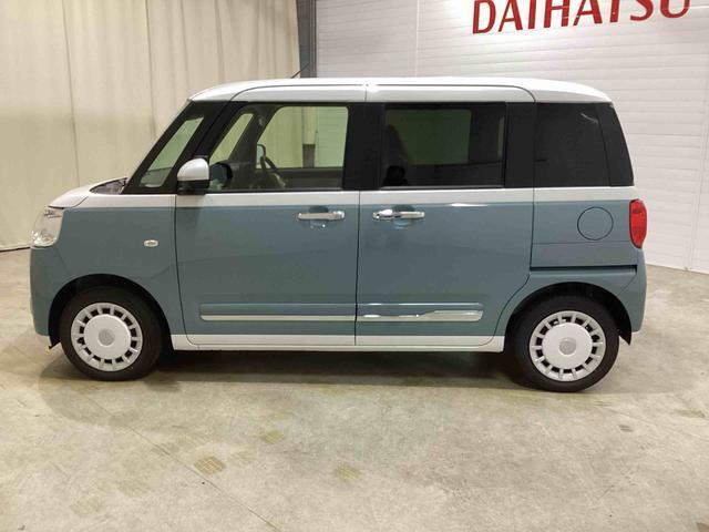 左横からの画像です