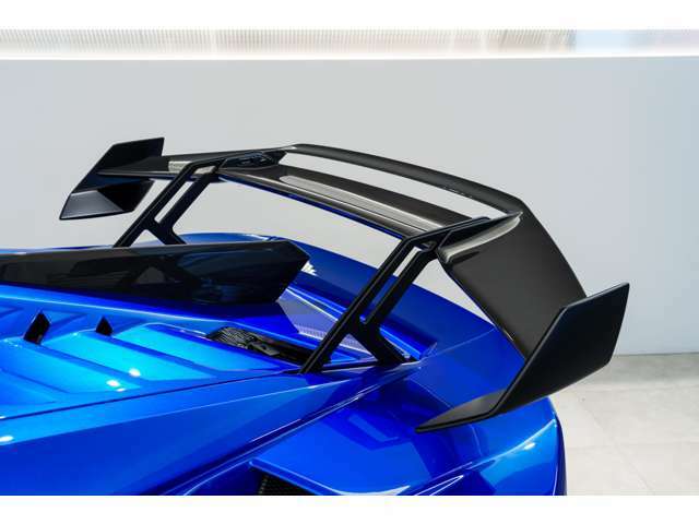 Snorkel and Rear Wing in Carbon Shiny