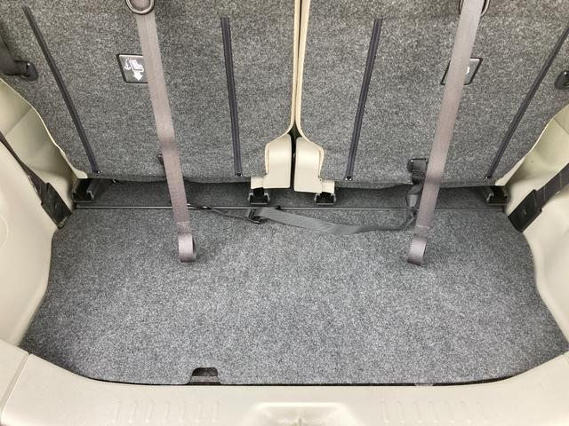 トランクの写真です
