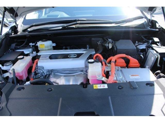 同業者様への販売はお断りさせていただきます。　車検無し車両の場合は、車検を取得したお支払い総額で表示しております。