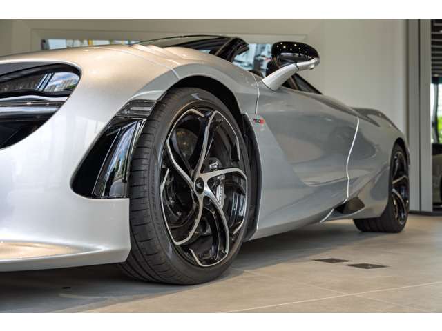 フロントタイヤは245/35ZR19 93Y、リアタイヤは305/30ZR20 103YのピレリP-ZEROタイヤを装着。