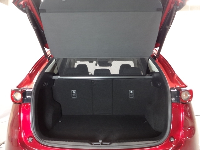 パワーリアゲート装備！スイッチひとつでリアゲートの開閉ができてとても便利なアイテムです。