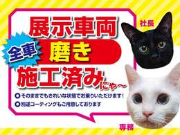 展示車両すべて磨き施工済み！気軽に現車確認にご来店ください！