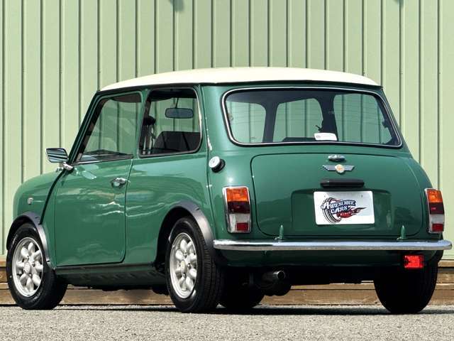 ルーフモール　ステップモール新品