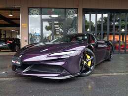 特注外装色(Viola Hong Kong)　ツートンボディペインティング