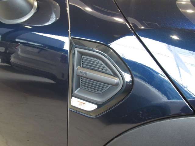 サイドスカットルです