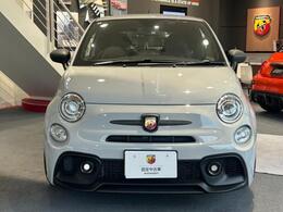 人気色のグリージョカンポヴォーロ。